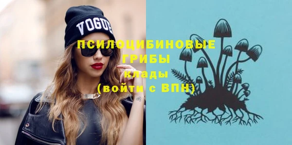 ешки Иннополис