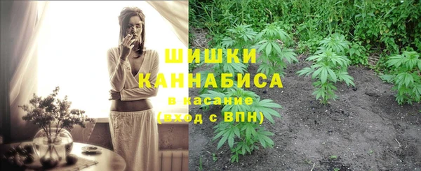 ешки Иннополис