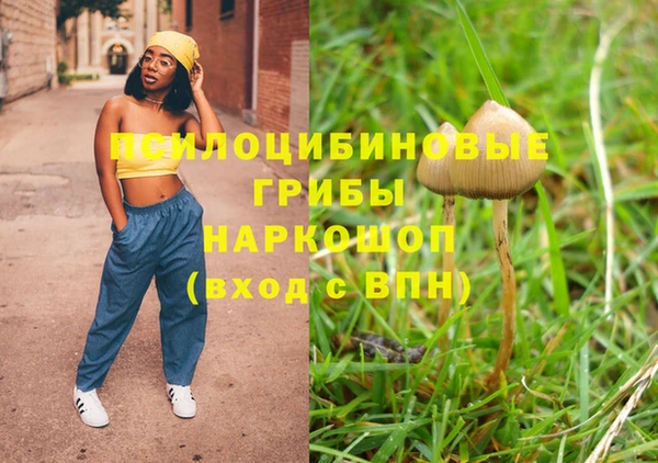 герыч Инсар