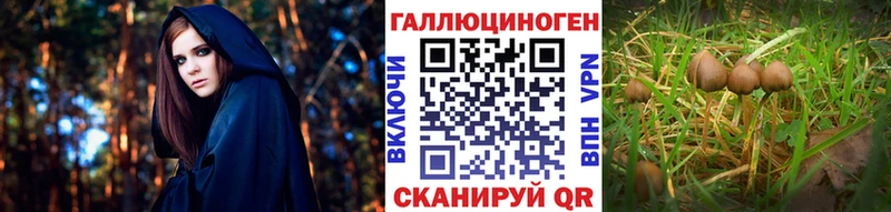 Купить Полтавская Псилоцибиновые грибы MAGIC MUSHROOMS
